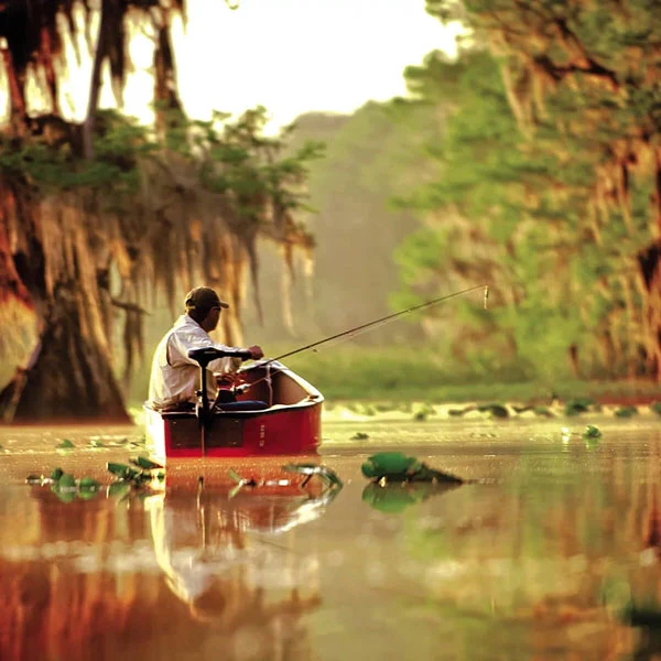 Minn Kota Endura Trolling Motor - Image 5